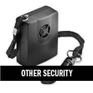 Other Security